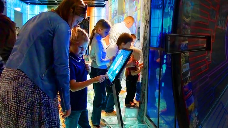 The installation was appealing to both kids and adults.
