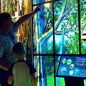 "The World of Wood" Interactive Exposition for Darwin Museum