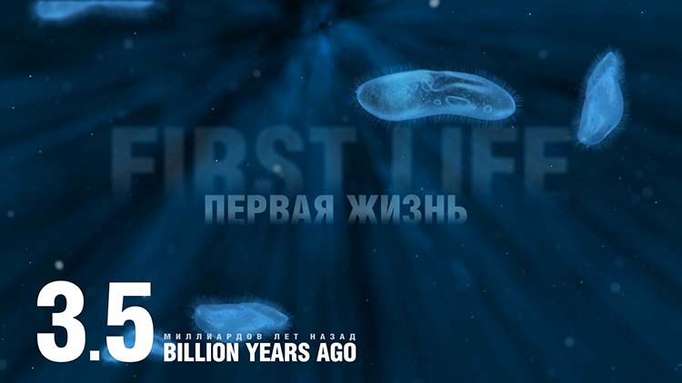 The earliest known life forms on Earth.